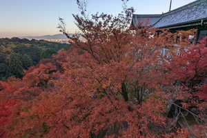 清水寺020.jpg