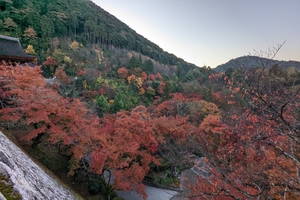 清水寺013.jpg