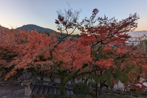 清水寺008.jpg