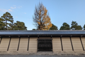 京都御所057.jpg