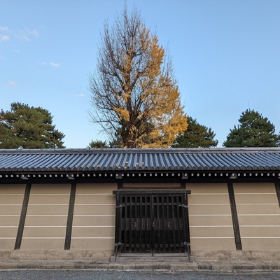 京都御所057.jpg