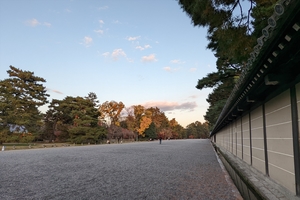 京都御所054.jpg