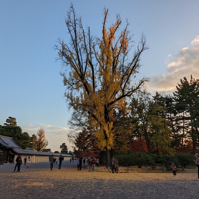 京都御所050.jpg