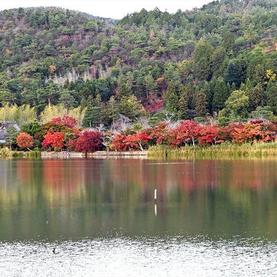 広沢の池002.jpg