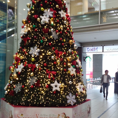 IMG_20191119_114018.jpg
