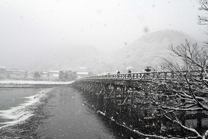 DSC_4997雪の嵐山_080_01.jpg