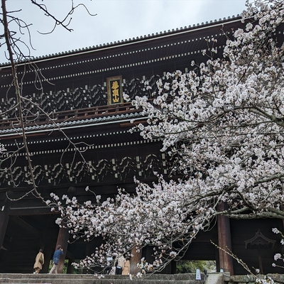 知恩院052.jpg