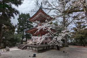 知恩院010.jpg