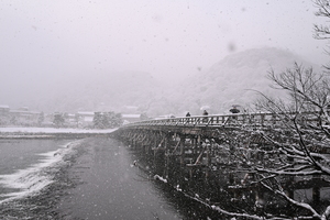 DSC_4997雪の嵐山_080.JPG