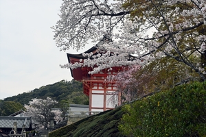 清水寺026.jpg