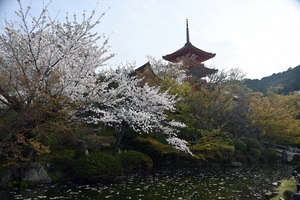 清水寺024.jpg