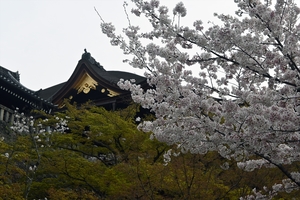 清水寺023.jpg