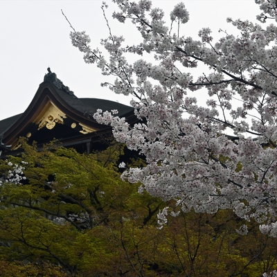 清水寺023.jpg