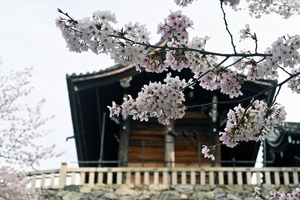 清水寺022.jpg