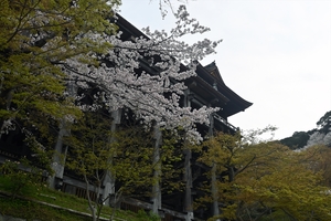 清水寺021.jpg