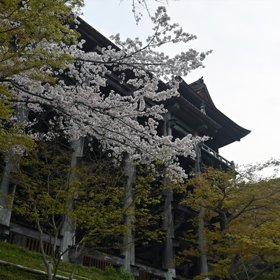 清水寺021.jpg
