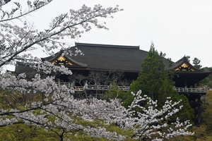 清水寺019.jpg