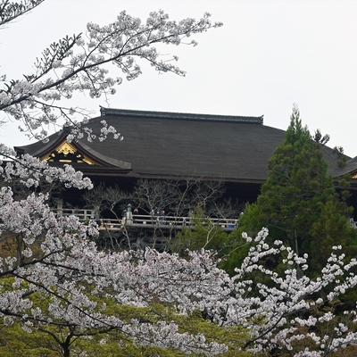 清水寺019.jpg