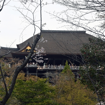 清水寺018.jpg