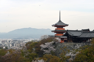 清水寺013.jpg