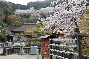 清水寺010.jpg