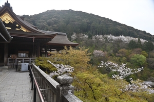 清水寺009.jpg