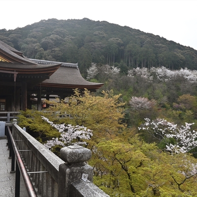 清水寺009.jpg