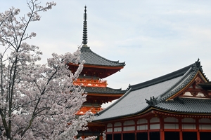 清水寺008.jpg