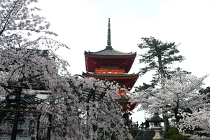 清水寺004.jpg