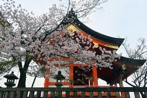 清水寺003.jpg