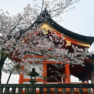 清水寺003.jpg