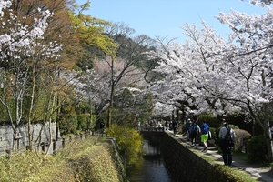 哲学の道019.JPG