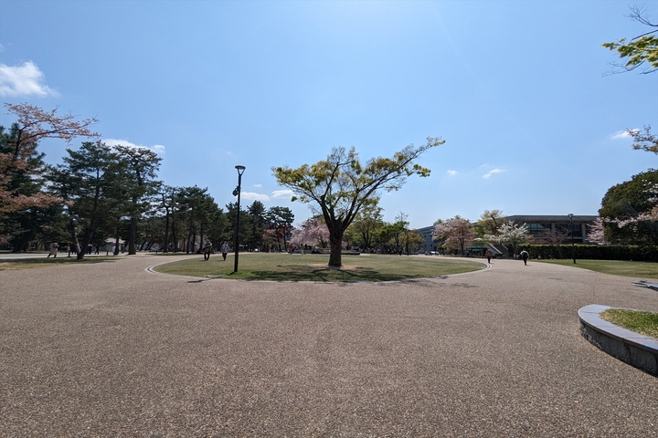 岡崎公園009.jpg