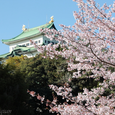 230401_城＆桜.JPG