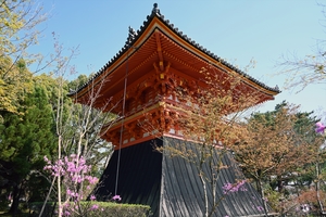 仁和寺006.jpg