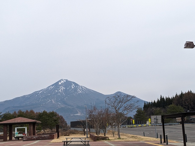 PXL_20230404_224256348.jpg