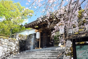 三千院033.jpg