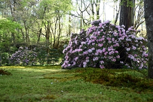 三千院008.jpg