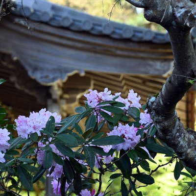 三千院005.jpg