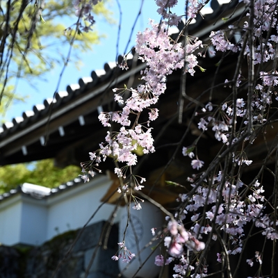 三千院001.jpg