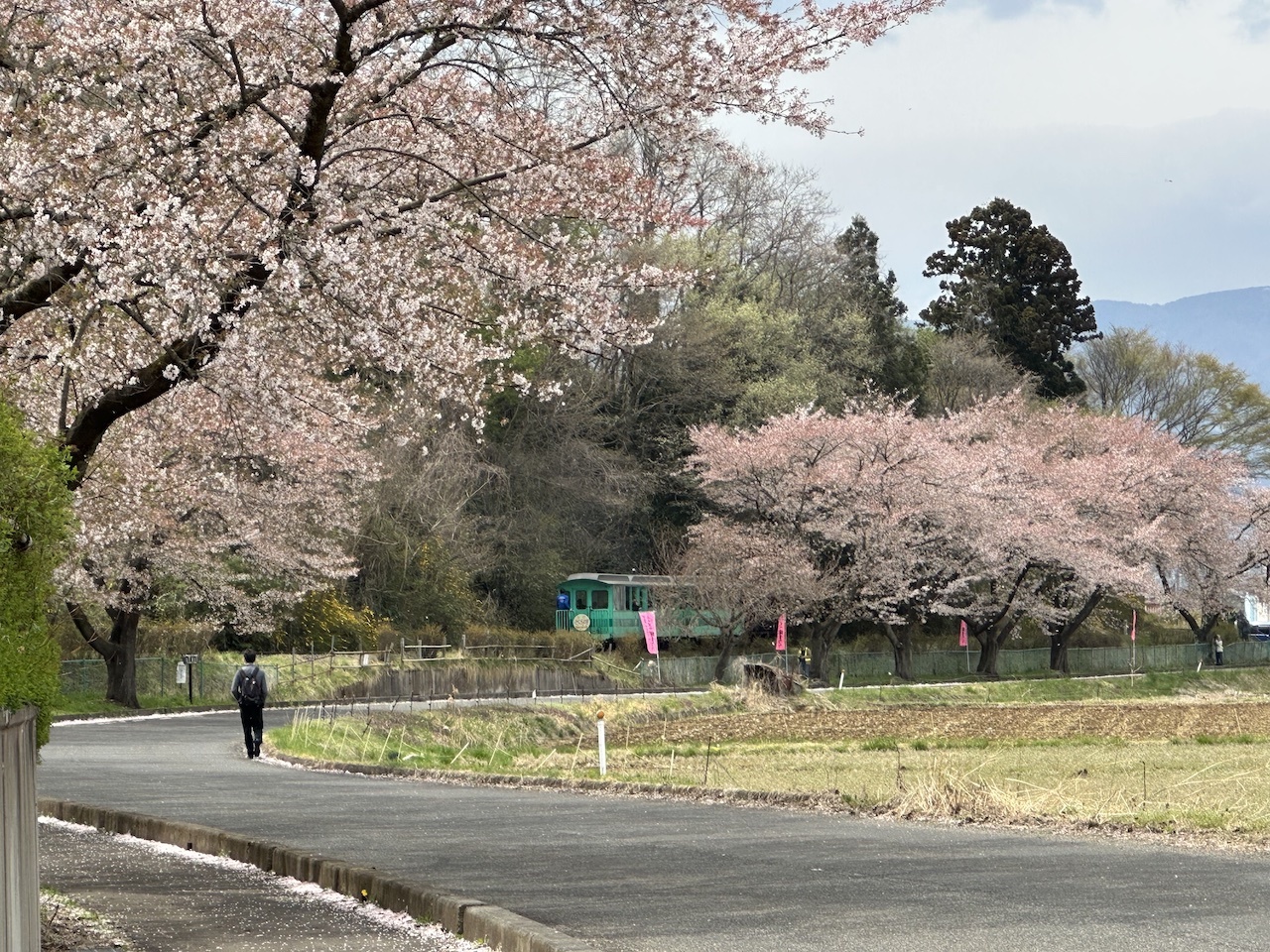 IMG_5126-yanagawa_park.jpg