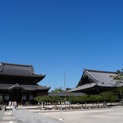 34589818-CAE9-42D5-8BB4-D1A9479574D9.jpeg