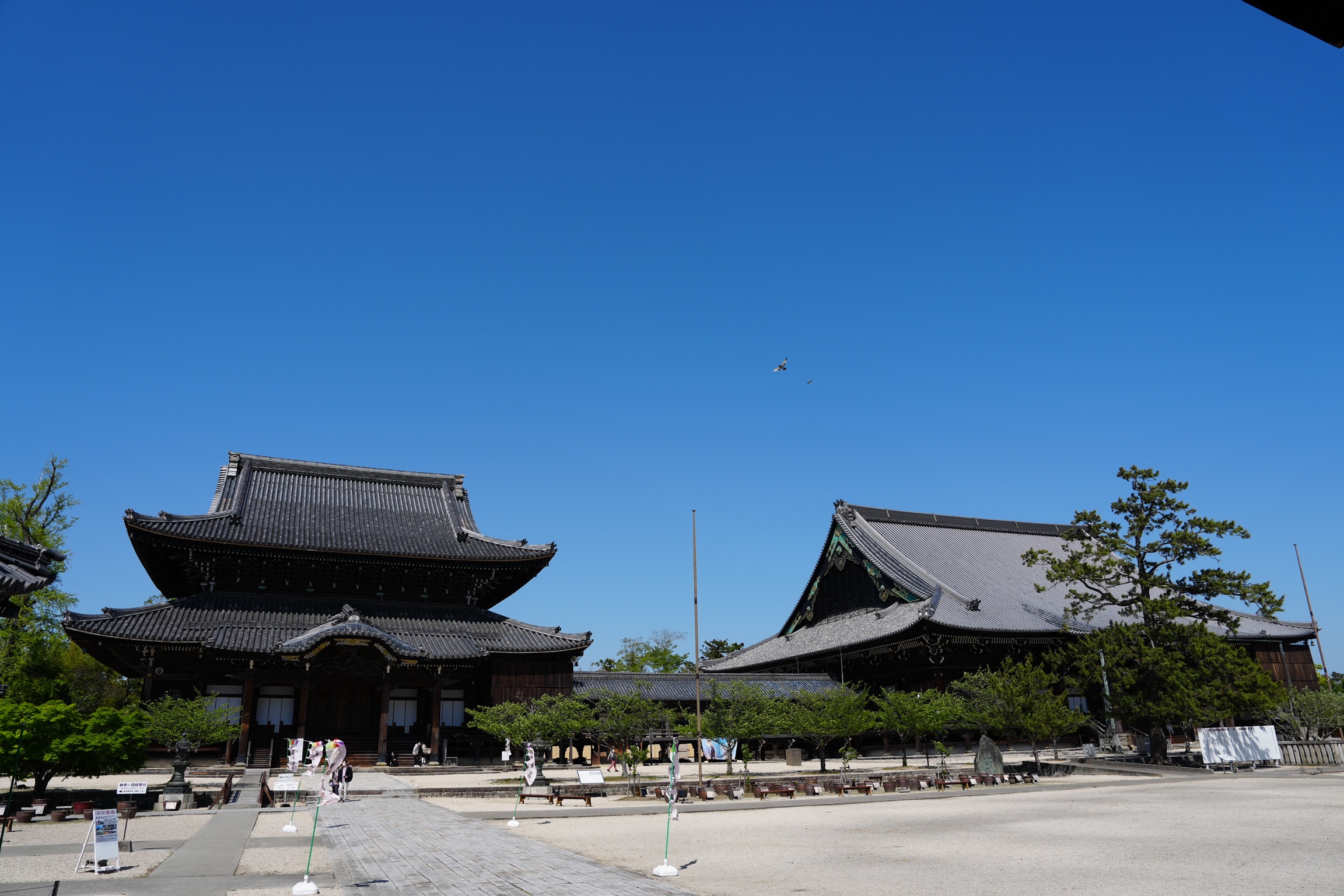34589818-CAE9-42D5-8BB4-D1A9479574D9.jpeg