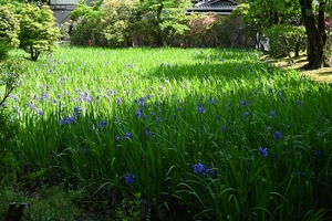 大田神社001.jpg