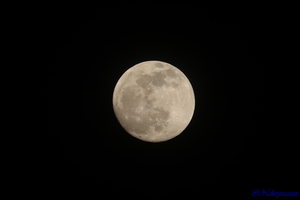 230504_moon.JPG