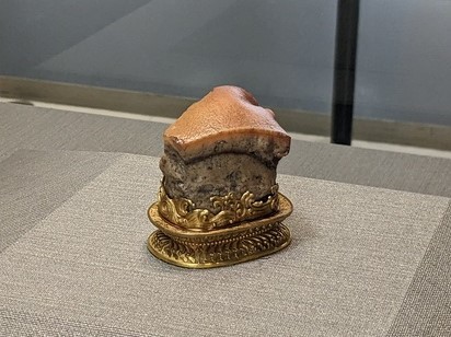 L_image_buta.jpg