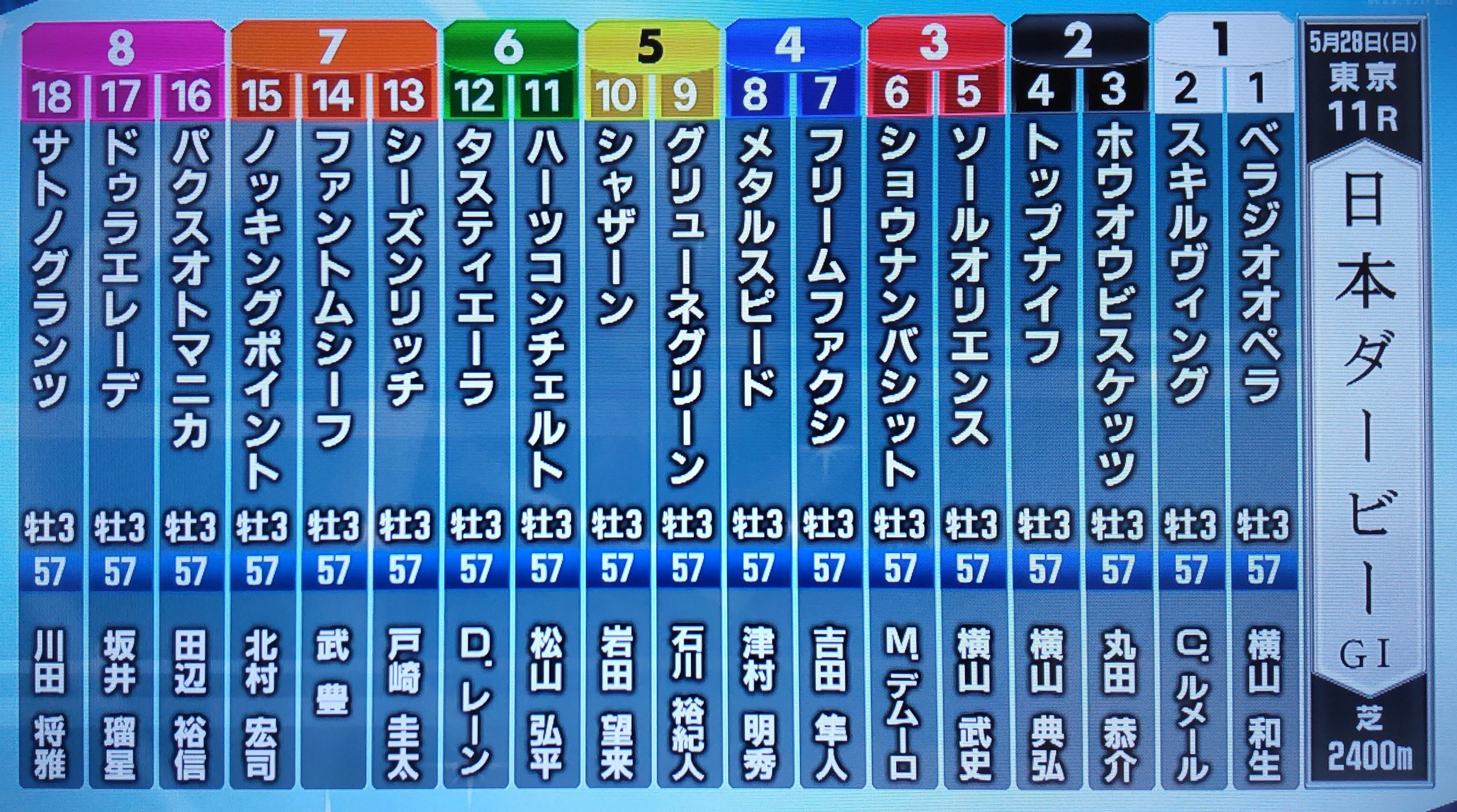 スキルヴィング 日本ダービー 現地購入単勝馬券