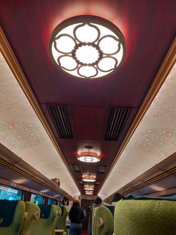 FB_IMG_1685234051543.jpg