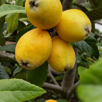 HORIZON_0001_BURST20230530133748102_COVER.JPG
