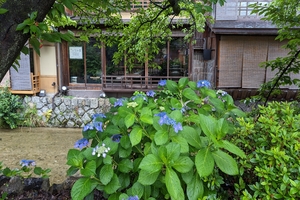 白川筋013.jpg